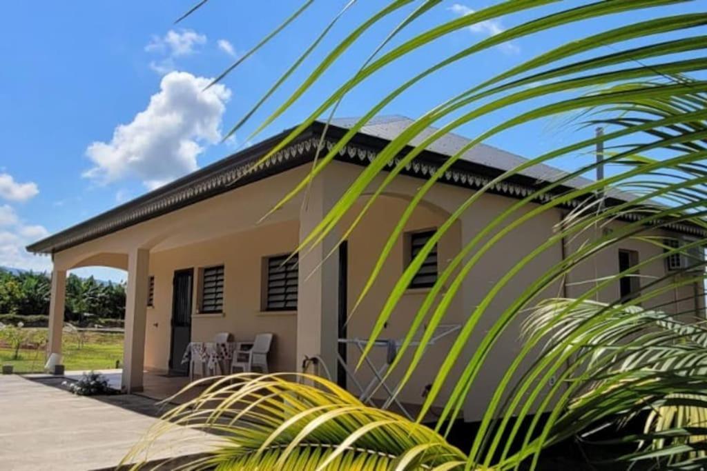 Ti Coin Jardin Apartment La Paix Ngoại thất bức ảnh